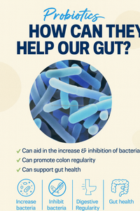 สูตรโปรไบโอติกมังสวิรัติสำหรับเด็กและสตรีก่อนคลอดด้วยสายพันธุ์จากพืชเพื่อความสมดุลของลำไส้ - Product Image 4