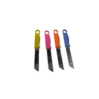 Ensemble de 4 couteaux de cuisine en acier inoxydable, manches en plastique colorés, couteaux à fruits et légumes tranchants, ensemble de couteaux à éplucher, ensemble de couteaux à fruits