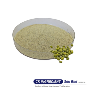 ผงถั่วเขียวคุณภาพพรีเมียม รับประกันคุณภาพจากผู้ผลิตชั้นนำ ฮาลาล OEM B2B ยอดขายอันดับหนึ่ง เครื่องดื่มเพื่อสุขภาพ ช่วยคลายร้อน วัตถุดิบสำหรับเบเกอรี่ - Product Image 3