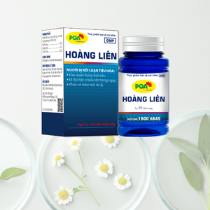 Cápsulas de Gelatina Dura de Regaliz (Angelica Sinensis) con Bajo MOQ, Soporte Inmunológico Natural para Adultos, Salud Gastrointestinal - Product Image 6