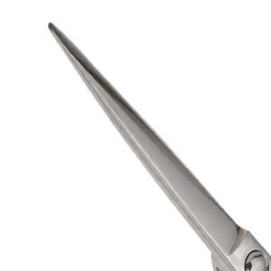 Ciseaux de coiffure professionnels en acier inoxydable, ciseaux tranchants, outil de coiffure de salon, poignée ergonomique, pour droitiers, 30 cm - Product Image 2