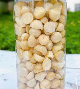 Roasted <b>Macadamia</b> <b>Nuts</b> in Shell for Wholesale Buyers Food Service and Supermarket Chains - Product Image 5