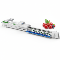 Multifunctionele fruit sorteermachine voor het zeven van grondstoffen - Automatische sorteerder voor fruitverwerkingsbedrijven