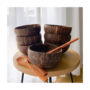 Juego de Tazones de Cáscara de Coco Ecológicos de Primera Calidad, Más Vendidos, de Alta Calidad, Modernos, Sostenibles, Decorativos para Cocina, para Smoothies - Product Image 1
