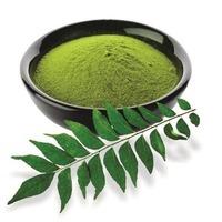 Polvo de Hojas de Curry Puro de Primera Calidad para el Crecimiento del Cabello, Control del Cabello Gris y Acondicionamiento del Cuero Cabelludo, Disponible al Mejor Precio