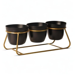 Macetero de Metal Contemporáneo con Soporte de Hierro, Maceta Elevada Decorativa para Plantas de Interior, Hogar Moderno - Product Image 3