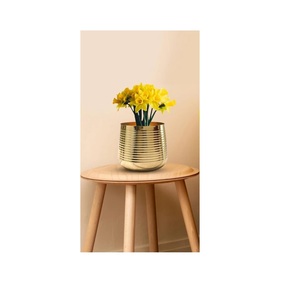 <b>Large</b> Gold Classic Jute Aloe Eco-Friendly Floor Plant <b>Pots</b> with Drain Holes Hand Carved Indoor Decor - Product Image 1