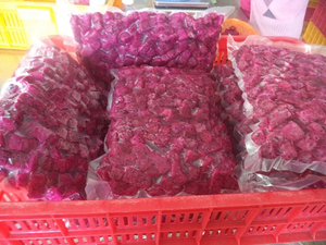 ผู้ผลิตผลไม้มังกรแช่แข็ง IQF จากเวียดนาม ขายส่งจำนวนมาก บรรจุภัณฑ์ตามสั่ง OEM แบรนด์ส่วนตัว สำหรับผู้นำเข้าอาหารระดับโลก - Product Image 2