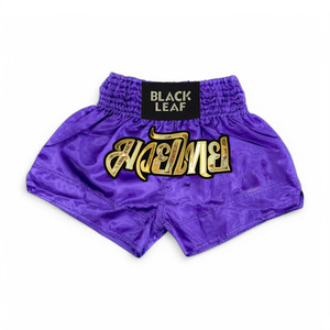 Pantalones Cortos de Entrenamiento de Muay Thai con Logotipo Personalizado, Ropa de Lucha Premium para Luchadores, Gimnasios y Clubes de Artes Marciales, OEM - Product Image 2