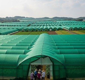 Large <b>Green</b> Shade <b>Net</b> House Agricultural Tunnel Greenhouse Mesh Cover for Vegetable Flower Farm Growing Fortune Agro <b>Net</b> - Product Image 2