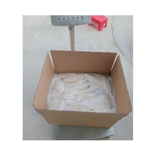 First Grade Dried Cuttlefish Bone VF Natural Bird Cage Accessory For Professional Pet Suppliers Parrot Breeders And <b>Aviaries</b> - Product Image 4