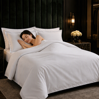 Vente en gros de parures de lit de luxe pour hôtel, sur mesure, 5 étoiles, 100% coton, 60S, 300TC, satiné, blanc