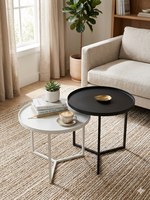 Ensemble de 2 tables basses en métal pour usage intérieur, design moderne avec revêtement en poudre, garantie 1 an, pour salon, usine de meubles OEM/ODM