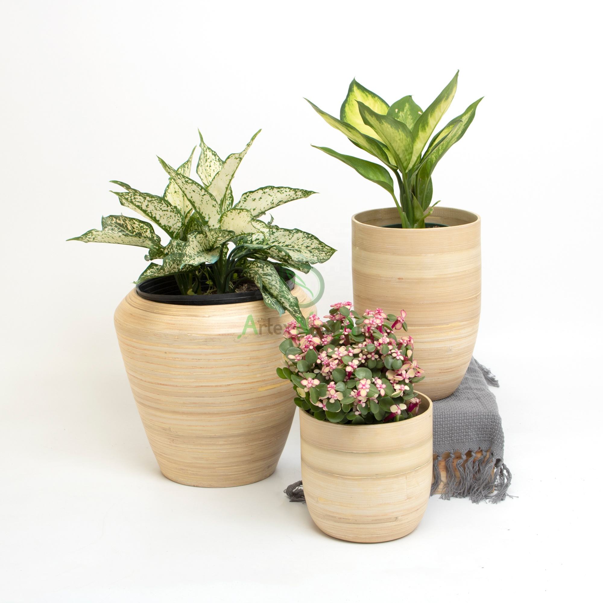 ธรรมชาติ