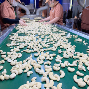 เม็ดมะม่วงหิมพานต์ราคาถูก ค่าใช้จ่ายน้อย ระยะเวลาจัดส่งรวดเร็ว คัชชู บาดัม ซานติโก - Product Image 4