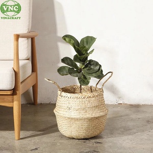 Panier de rangement pliable en bambou et jonc de mer Pot à linge pliable pour plantes Bac de rangement en paille tissée - Product Image 5