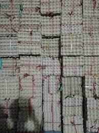 La solution de protection ultime pour les œufs : des boîtes à œufs de qualité supérieure avec une conception intelligente et des matériaux écologiques - Product Image 4