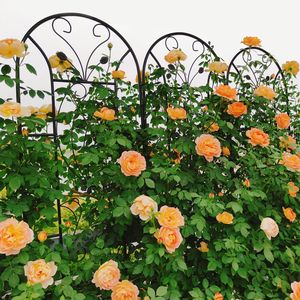 Set di 2 tralicci da giardino in metallo nero stile pavone, 220 cm x 50 cm, antiruggine, per supporto fiori da esterno e piante rampicanti, recinzione e cancello - Product Image 3