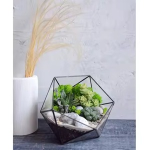 Terrario Metálico Moderno para Jardín Interior, Macetero de Vidrio, Elegante Caja de Exhibición Geométrica, Decoración para el Hogar - Product Image 2