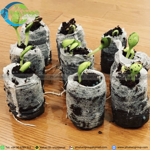 Producto estrella: pellets de fibra de coco de 3.5 a 4.2 cm para el acondicionamiento del suelo y el crecimiento saludable de las raíces con fibra de alta calidad del 95 por ciento. - Product Image 3