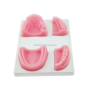 Almohadilla de Práctica de Sutura Dental, Modelo de Entrenamiento Anatómico 3D de Silicona, Proveedor Mayorista para Estudiantes de Odontología, Precio al por Mayor - Product Image 1