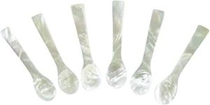 Cuchara de caviar de nácar ecológica de lujo, hecha a mano con concha natural, cuchara para servir, degustación de caviar gourmet, comidas finas - Product Image 1
