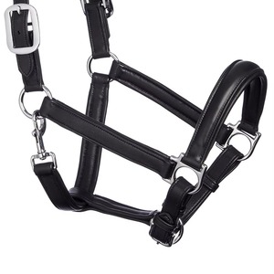 Licol de polo traditionnel argentin de haute qualité, cousu main en nylon/cuir, avec fil ciré et quincaillerie en laiton robuste réglable - Product Image 3