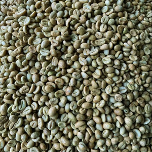 USDA Specialty Vietnam Arabica Green Coffee <b>Beans</b> Size 16, Premium Export Quality with Broken & Black 0.1%, Moisture 12.5% - Product Image 1