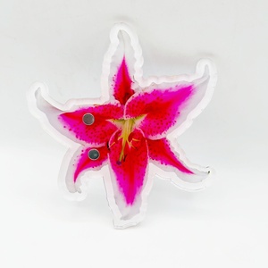 Support magnétique en acrylique personnalisé en forme de fleur pour extensions de cils, palette de rangement pour techniciennes en cils - Product Image 3