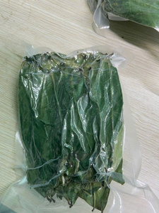 Pure Dried Soursop Leaves Natural Graviola Whole Leaf Premium Soursop Leaf For Retailers Bulk Wholesale Factory Price Base - Product Image 2