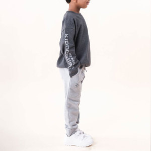 Survêtement gris de couleur unie pour garçons, sweat-shirt décontracté à manches longues et col rond avec poches latérales, pantalon à taille élastique pour l'automne - Product Image 3
