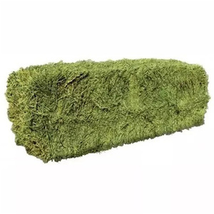 Heno de alfalfa de primera calidad, alimento para ganado vacuno, caballos, cabras y ovejas con nutrición de alto contenido proteico. - Product Image 5