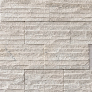 Azulejo Blanco Lechoso con Diseño de Cara Dividida 1020 cm (CTS-DOT-TN-16) Diseño Moderno para Baño y Almacén - Product Image 4