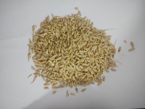 Grano de Cebada de Grado Alimenticio para Ganado y Animales Lecheros, Ingrediente de Alimento Integral, 24 Meses de Vida Útil, Seco, para Animales de Granja - Product Image 6