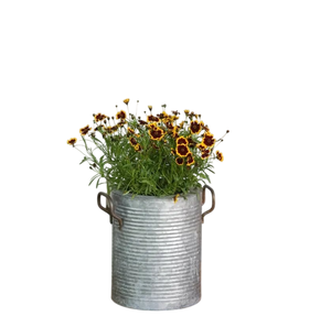 Pot de fleurs en métal galvanisé avec fleurs violettes pour jardin, usage extérieur, style rustique, pots de fleurs faits à la main - Product Image 6