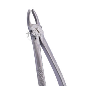 Forceps d'extraction dentaire de haute qualité en acier inoxydable – Instrument de précision pour clinique - Product Image 6