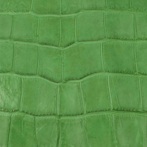 Chaqueta de Cuero con Estampado de Cocodrilo Verde para Hombre, Cuello Alto, Cierre de Cremallera, Resistente al Viento, Ecológica, Transpirable, para Motociclistas, Invierno - Product Image 4