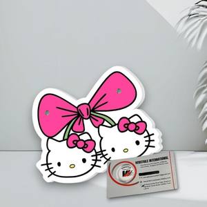 Placas de Pestañas de Alta Calidad con Estampado de Hello Kitty Rosa, Marca Privada, Placa para Extensión de Pestañas, Acrílico Magnético Personalizado - Product Image 6