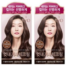 2-Piece Discount Ryeo Ua Chae Nutritional <b>Seaweed</b> Dye Cream Semi-Permanent Form - Product Image 1