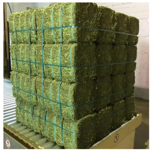 Foin d'alfalfa de qualité supérieure, alimentation animale, fourrage séché de haute qualité pour le bétail, les chevaux, les bovins, les moutons, fournisseur en gros, fabricant - Product Image 6