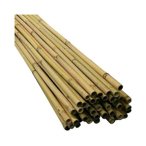 Poteaux en bambou robustes pour les échafaudages de construction et les projets extérieurs - Product Image 1