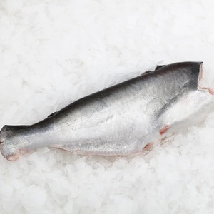 Ikan Lele Beku Premium Ocean Harvest Utuh Bersih Kualitas Ekspor Kemasan Massal Untuk Importir Pembeli Grosir Makanan Laut
