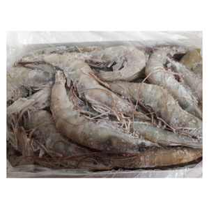Camarones Congelados de Calidad de Exportación Internacional para Restaurantes, Supermercados, Proveedores de Servicios de Alimentos y Compradores Mayoristas de Mariscos - Product Image 6