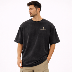 Custom <b>Back</b> Puff Printed Heavyweight 200gsm Solid Leisure O-Neck Cotton Anti-Wrinkle Short Sleeve Regular Fit Men's <b>T</b>-Shirt - Product Image 1