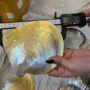 Plato de Lujo de Nácar Amarillo, Pulido por Ambas Caras, Concha Natural Artesanal de Vietnam, Plato Decorativo Premium para Exportación - Product Image 1