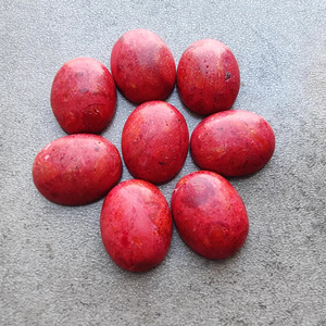 Coral Rojo Natural en Forma de Cabujón, Corte Ovalado, Parte Posterior Plana, Calibrado, Certificado por Terceros, de Rajasthan, para Joyería - Product Image 1