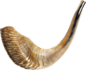 Grand Shofar en corne de bélier naturelle, poli, en agate de mouton, véritable corne de mouton semi-polie, son fort, clair et profond - Product Image 1