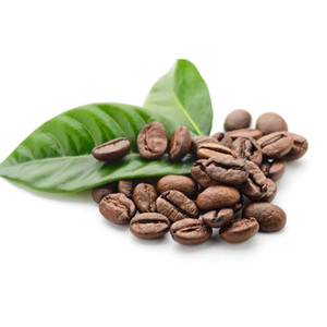 Natural Arabica <b>Coffee</b> <b>Beans</b> with Balanced Acidity Rich Body and Distinctive Flavor Characteristics - Product Image 2