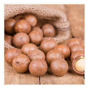 Nueces de Macadamia Crudas, Saladas y Tostadas, Alimento Saludable, Macadamia con Cáscara - Product Image 3