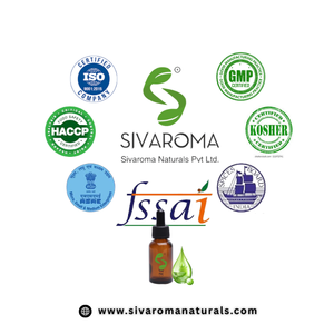 Extracto Líquido de Hoja de Aloe Vera Silvestre, Suministro al por Mayor, para Cosméticos, Cuidado Personal, Alimentos, Bebidas, Productos Botánicos - Product Image 6